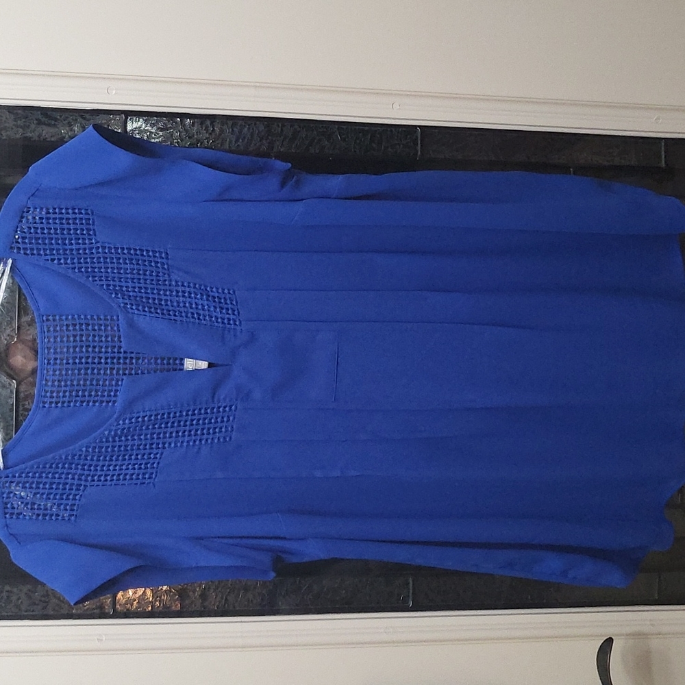 Dabielrainn Blue Blouse 1x